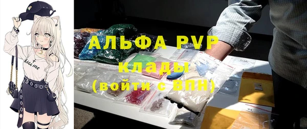 PSILOCYBIN Аркадак