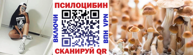 hydra зеркало Сясьстрой Псилоцибиновые грибы Cubensis